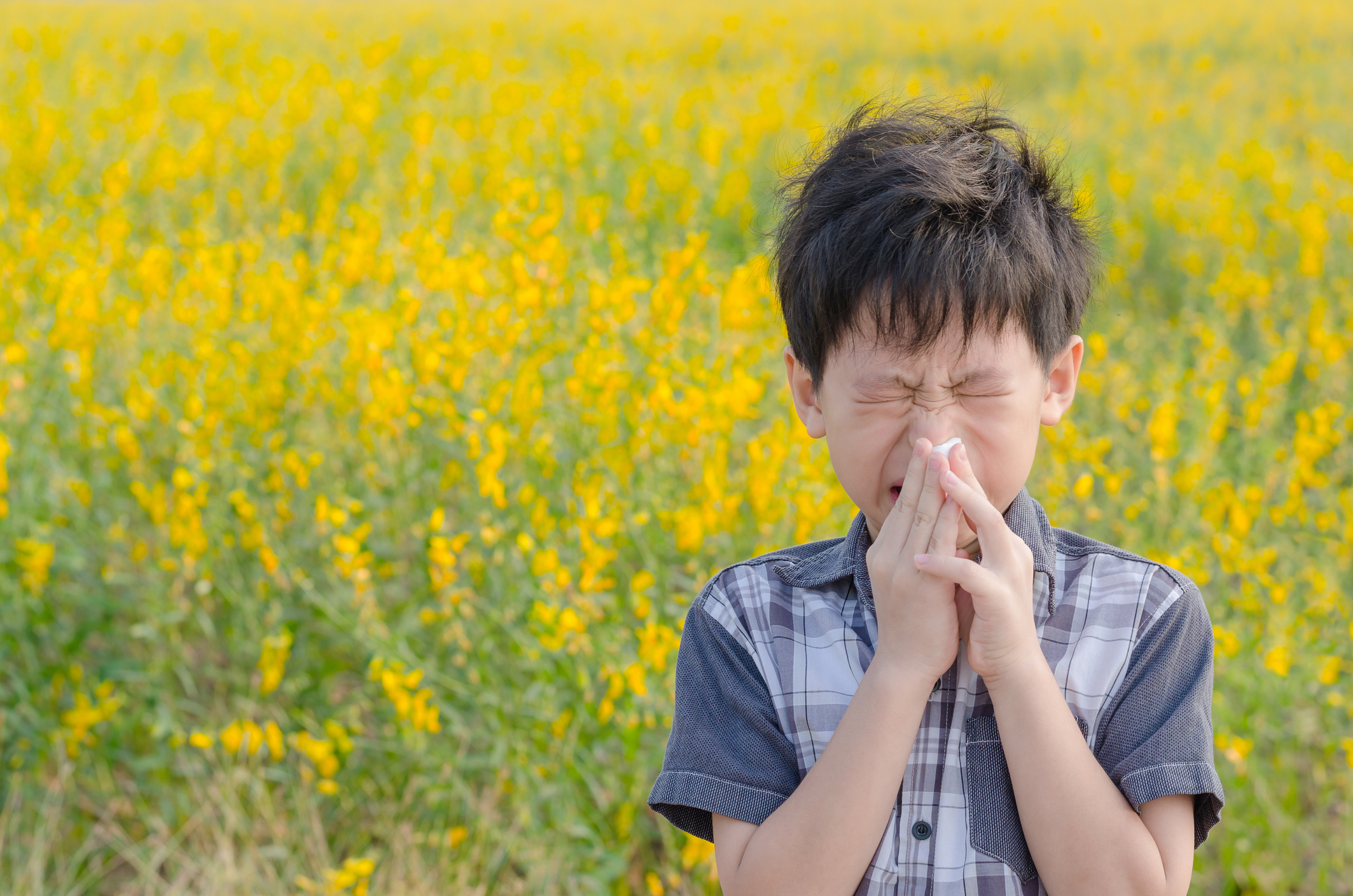 Seasonal Allergies: What You Need to Know This Spring | NOMS